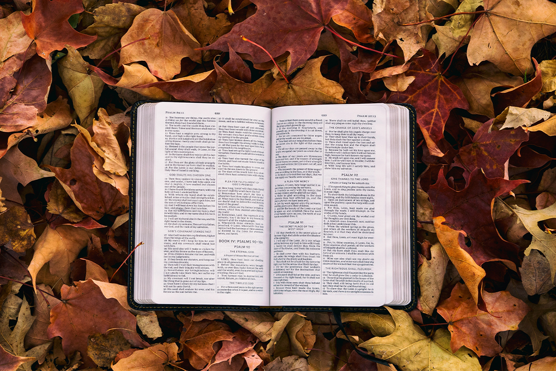 50 Bible Verses to Memorize This Year