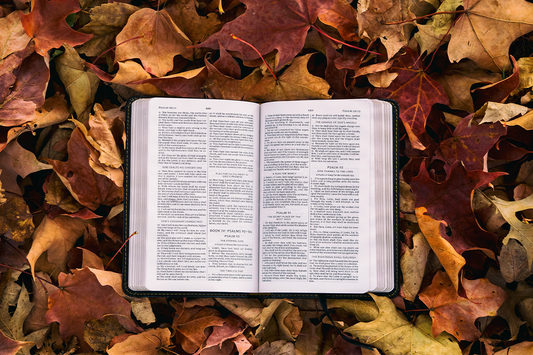 50 Bible Verses to Memorize This Year