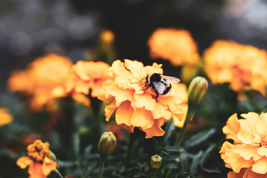 50 Boost Your Day with Stay Humble Quotes