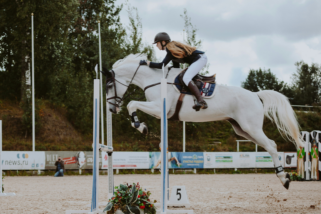 Gallop Through 50 Equestrian Quotes You’ll Love