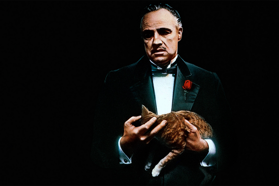 50 Quotes The Godfather Every Fan Must Know