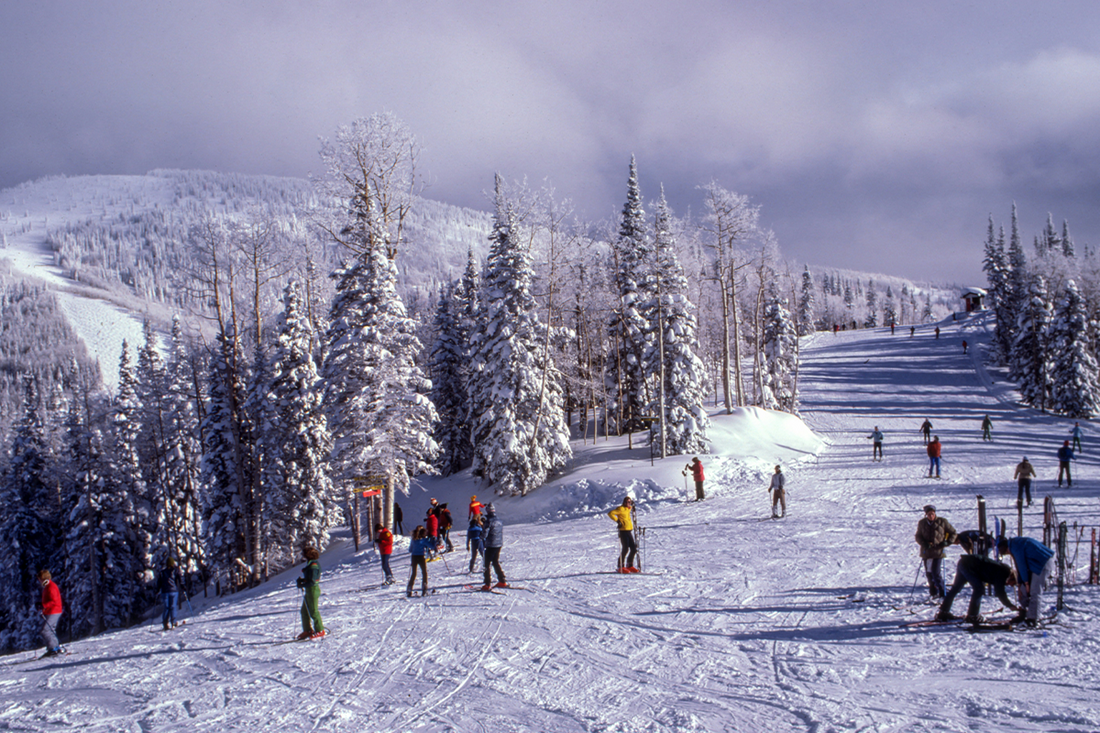 Shred the Slopes with These 50 Skiing Quotes