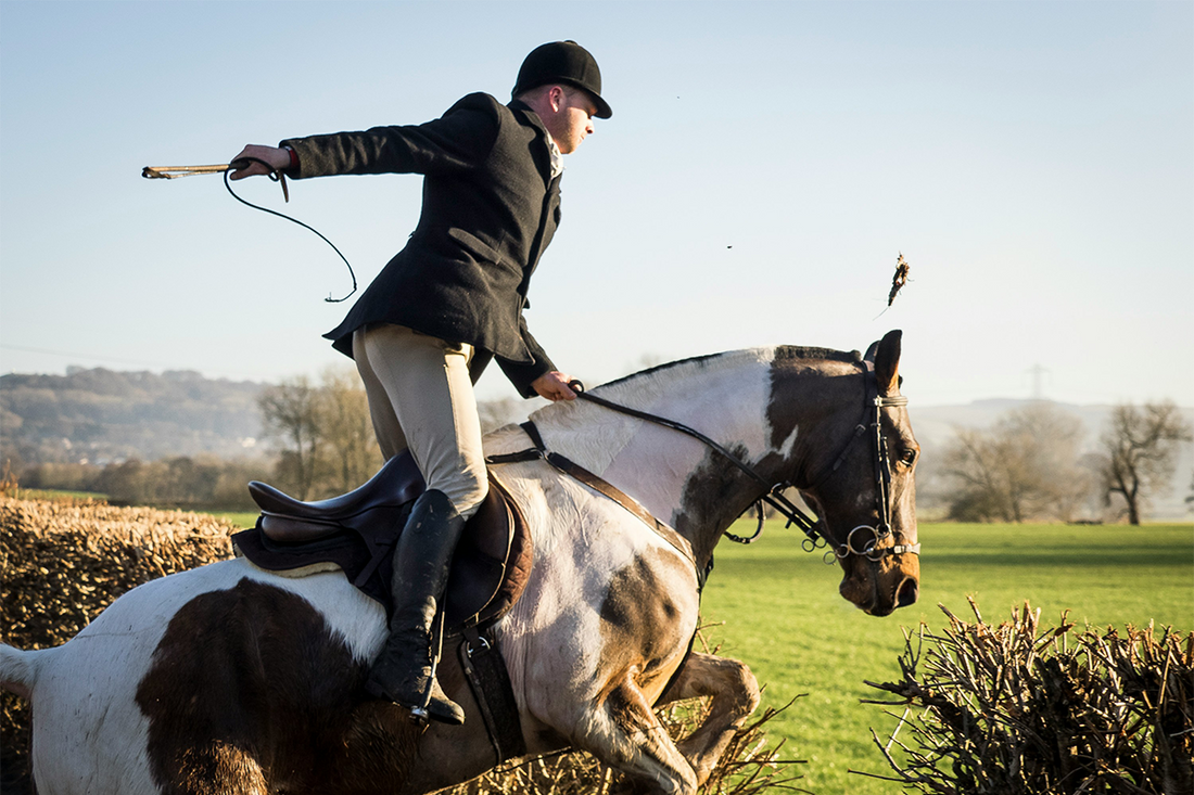 50 Equestrian Quotes to Inspire Your Ride