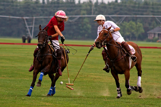 50 Inspirational Polo Quotes to Motivate Every Rider and Fan