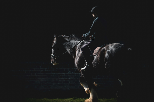 Unleash Your Inner Pro with 50 Polo Quotes