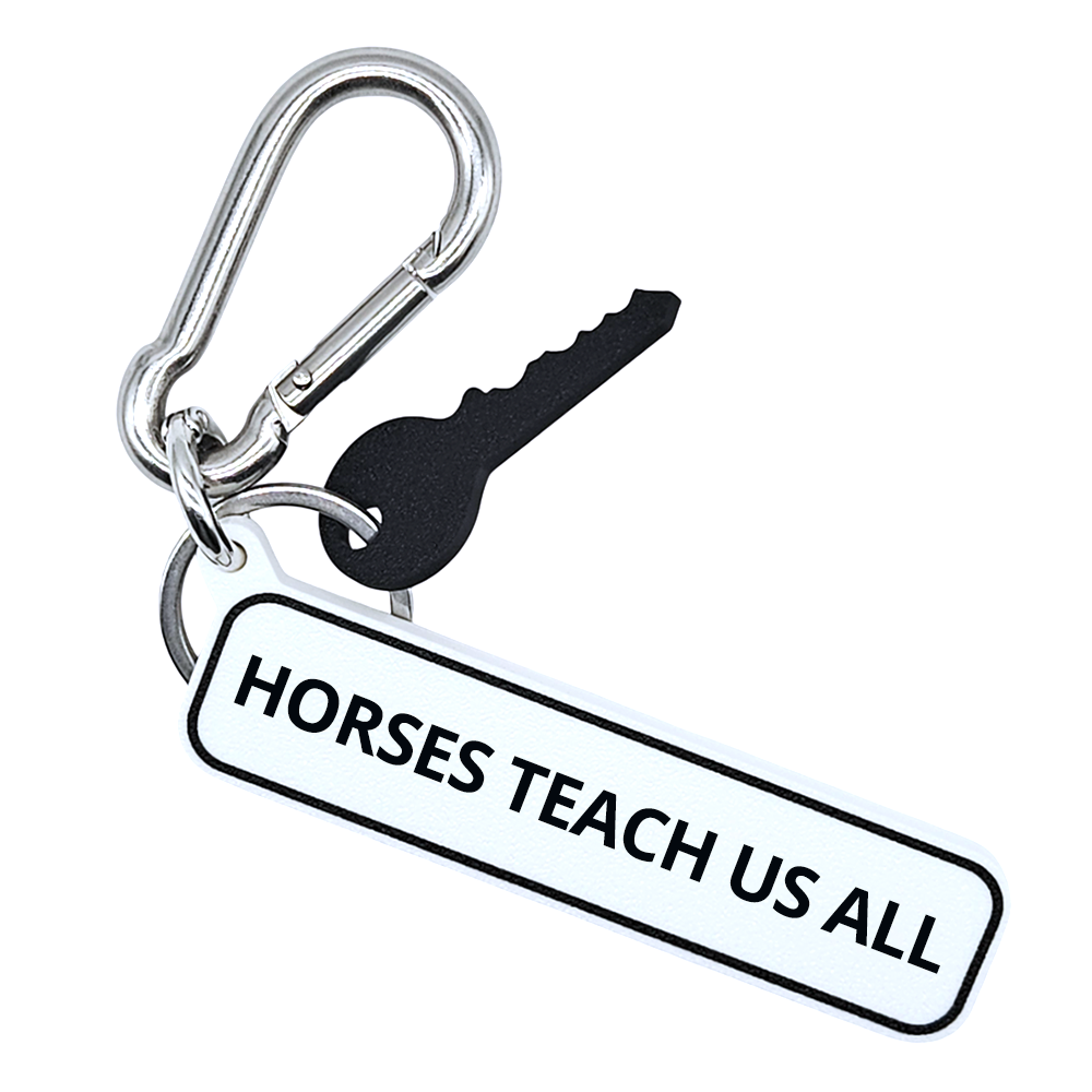 HORSES TEACH US ALL