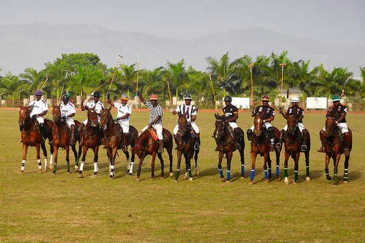 50 Polo Funny Text to Make Game Day Hilarious