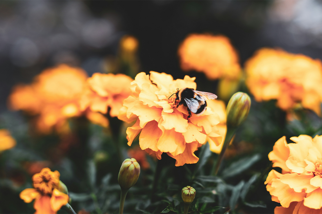 50 Boost Your Day with Stay Humble Quotes
