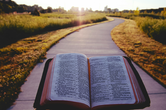 50 Bible Quotes on Humility to Help You Stay Grateful