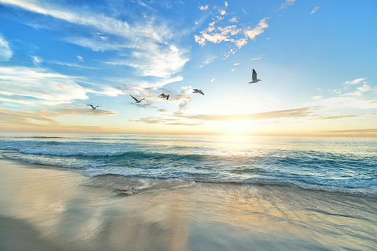 50 Ignite Your Spirit with Stay Humble Quotes
