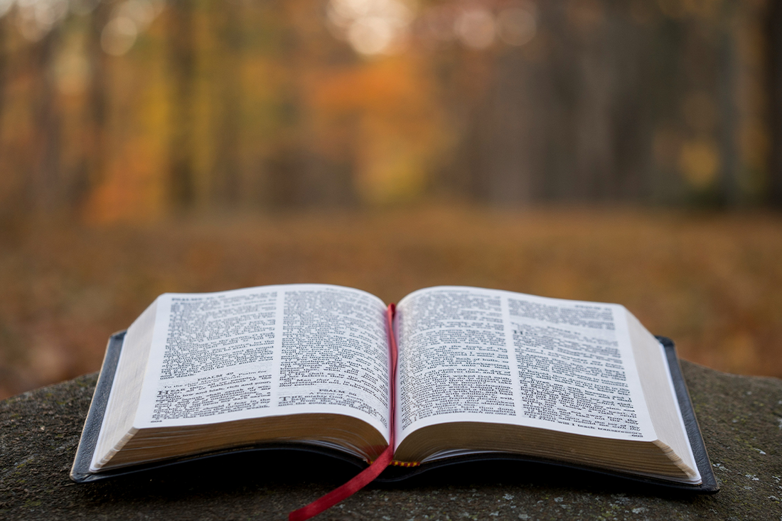 50 Bible Verses About Not Giving Up