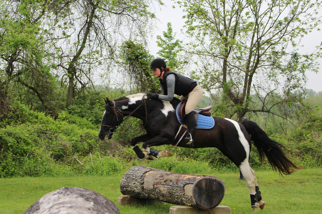 50 Equestrian Quotes That Reign Supreme