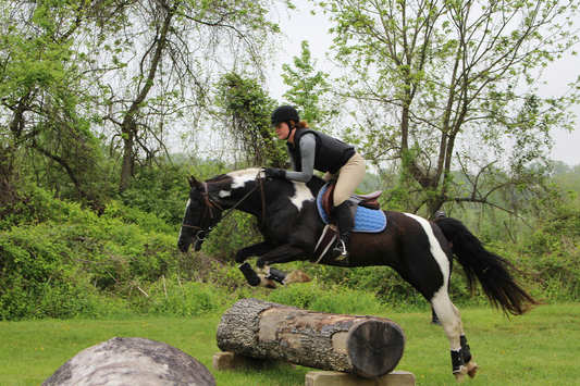 50 Equestrian Quotes That Reign Supreme