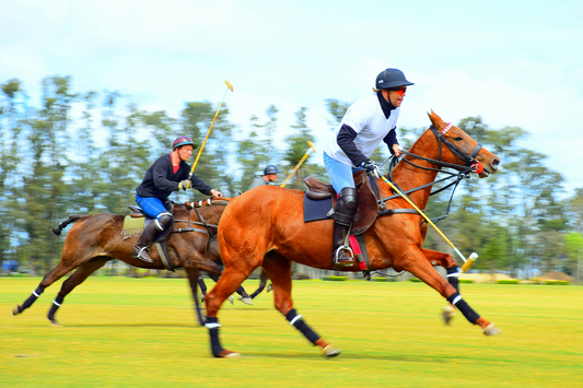50 Polo Quotes for Champions in Action
