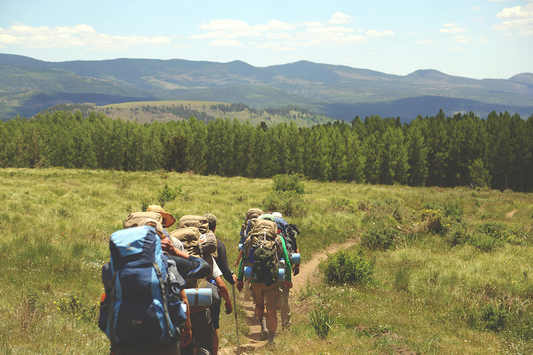 50 Hiking Quotes for Solo Treks and Trail Wisdom