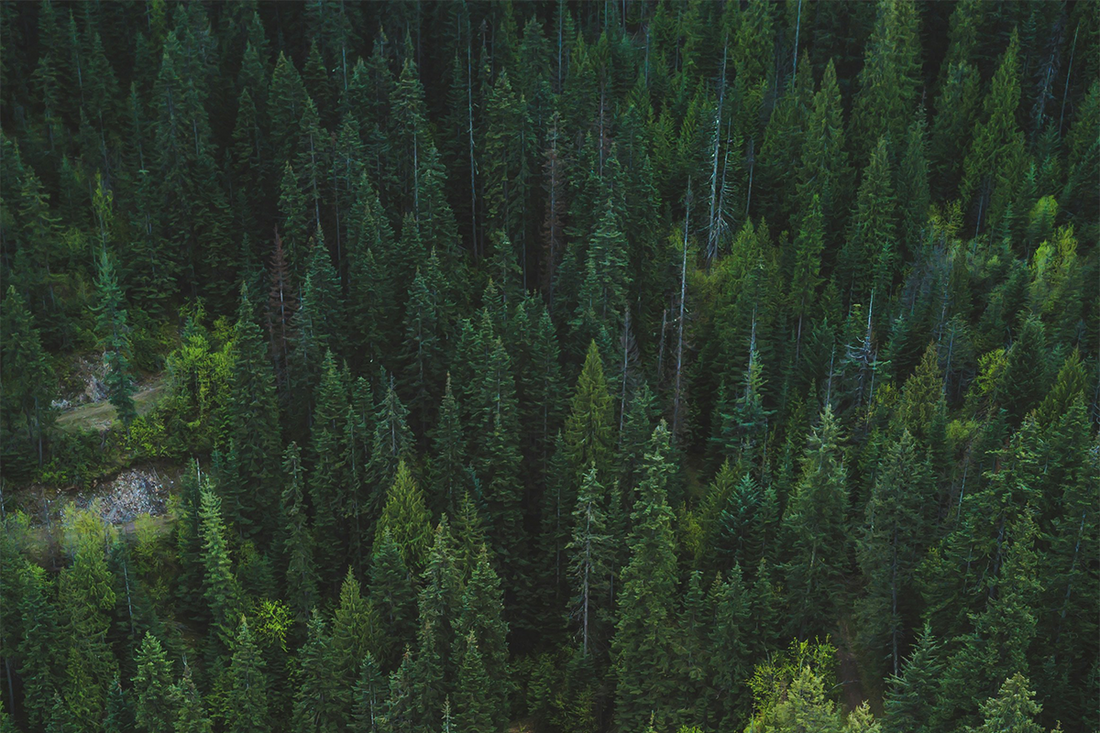 50 Stay Humble Quotes That Transform Your Perspective