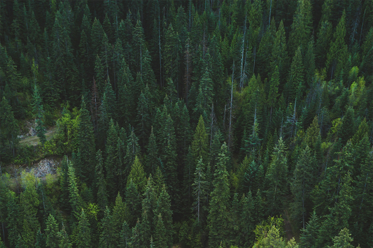 50 Stay Humble Quotes That Transform Your Perspective
