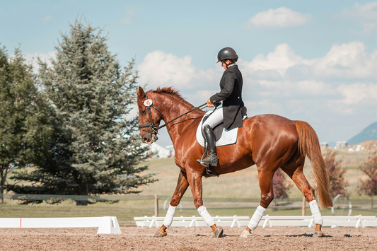 50 Equestrian Quotes for Riders Who Dream Big