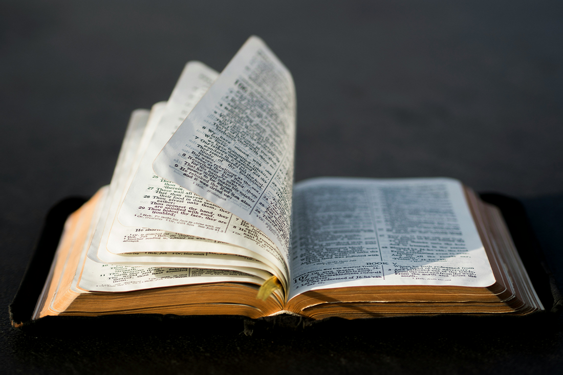 50 Powerful Bible Humble Quotes for Everyday Life