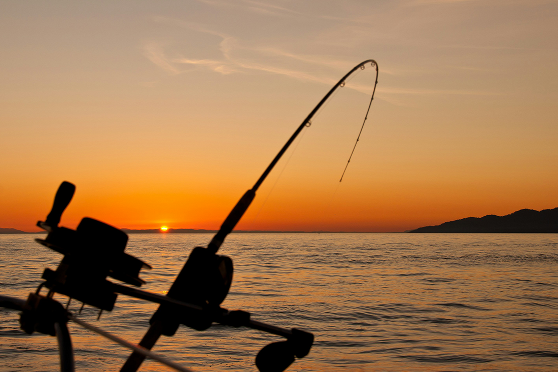 50 Fishing Quotes for Calm Mornings and Big Stories