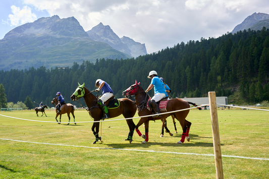 Stay Motivated with 50 Polo Quotes