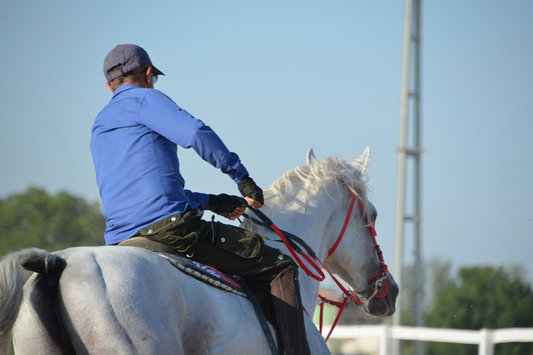 50 Polo Quotes That Nail Sport Elegance