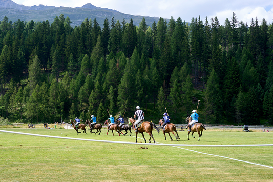 50 Polo Quotes To Fuel Team Motivation