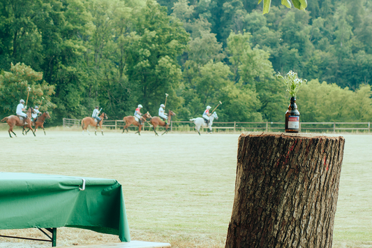 50 Polo Quotes To Motivate Practice Sessions