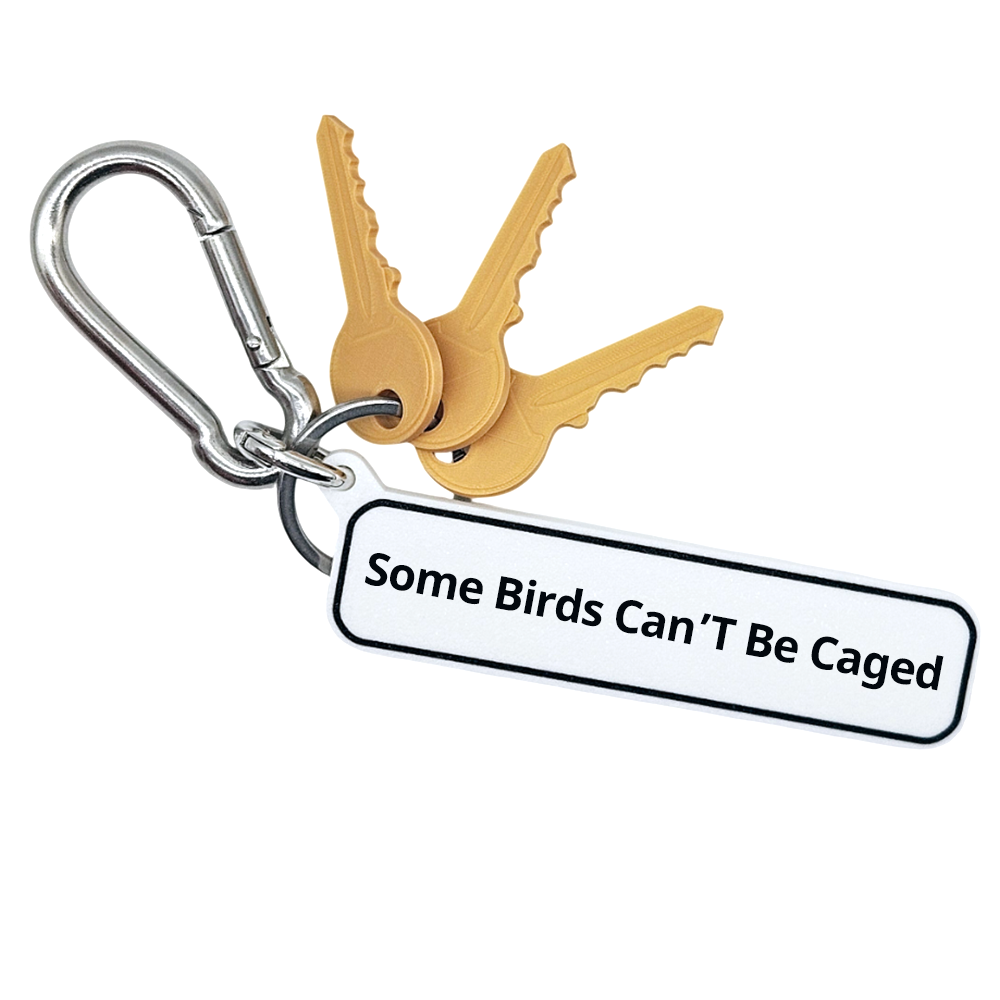 Some Birds Can’T Be Caged - The Shawshank Redemption