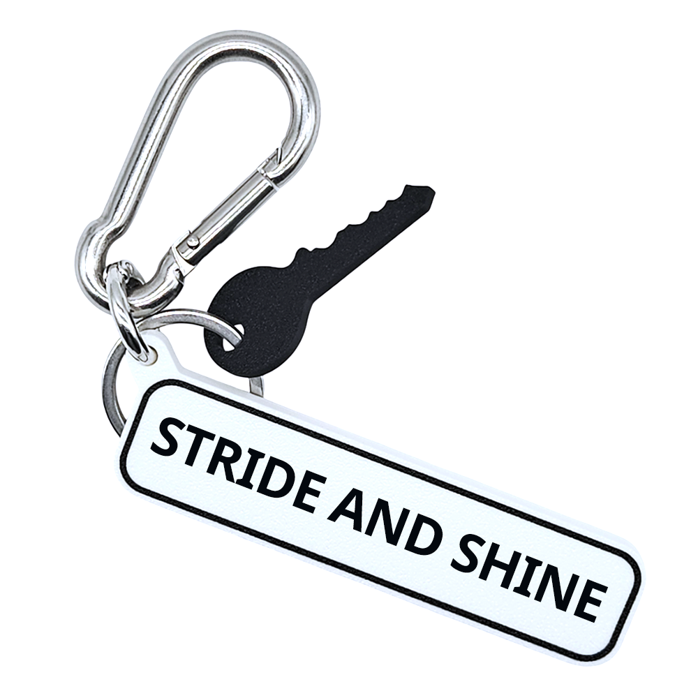 STRIDE AND SHINE