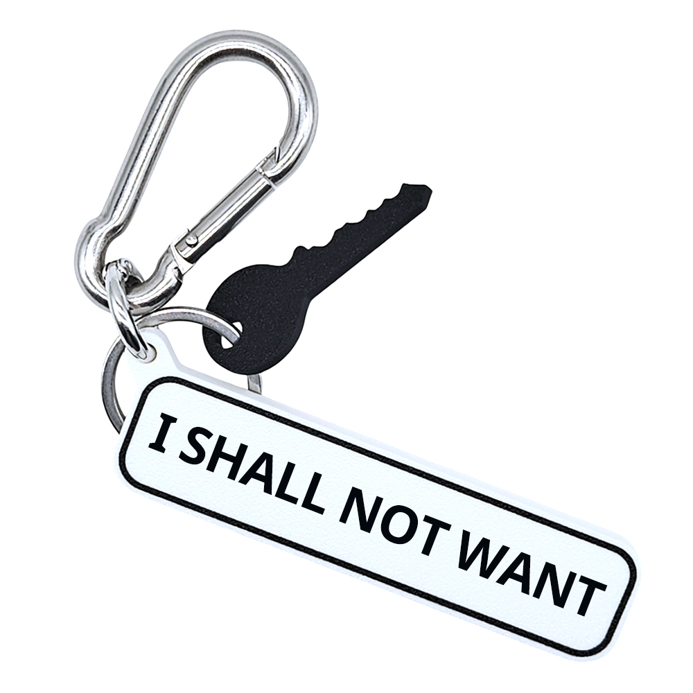 I SHALL NOT WANT - Psalm 23:1